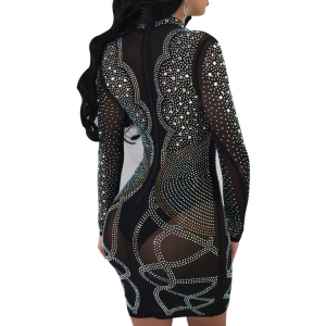 SHEER EMBELLISHED RHINESTONE LACE MINI DRESS