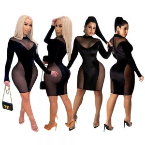 SHEER MESH VELVET DESIGN MINI DRESS