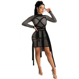 LONG SLEEVE BANDAGE SHEER MESH DRAPE MINI DRESS