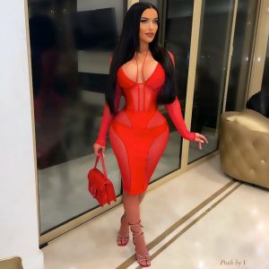 PLUNGING NECK SHEER MESH PATCHWORK MINI DRESS                    *PLUS AVAILABLE*